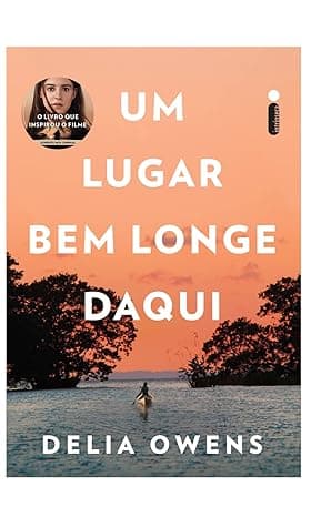 Um lugar bem longe daqui: O livro que inspirou o filme um lugar bem longe daqui 